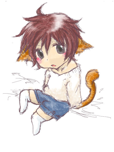 猫少年