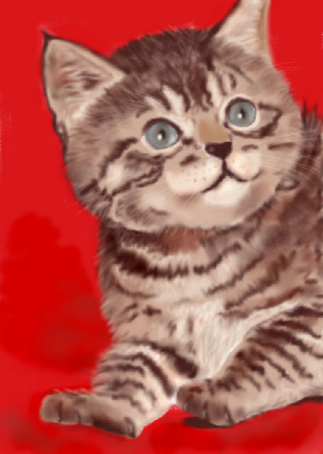 うちの猫(幼少期愛理)