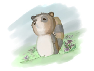 千年の独奏たぬき