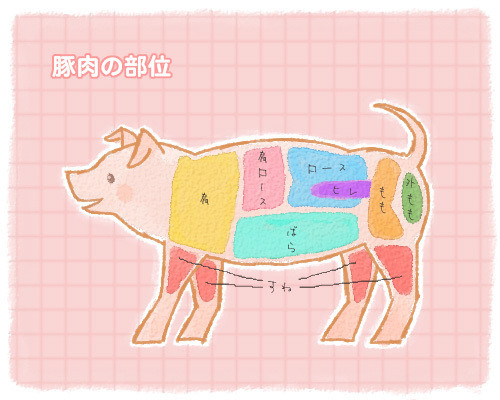 豚肉の部位