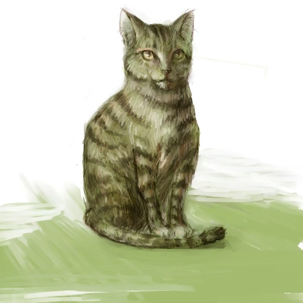 おすわりにゃんこ。
