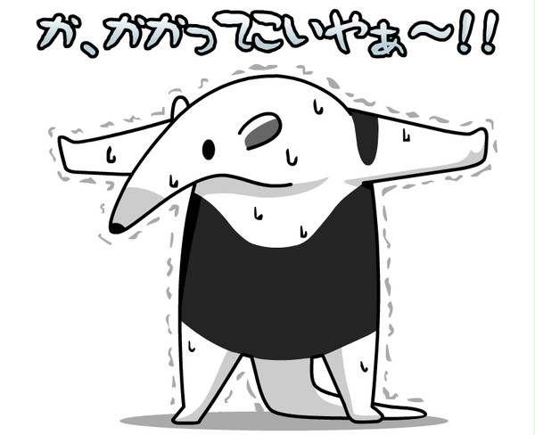 コアリクイの威嚇
