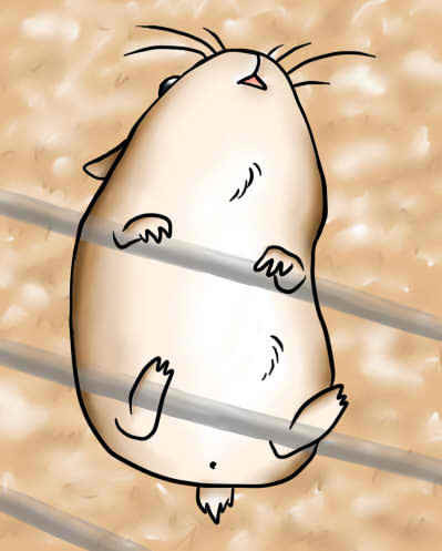 よじのぼり