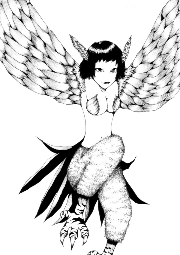 ハーピーさん