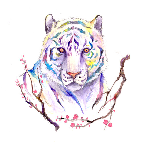虹虎