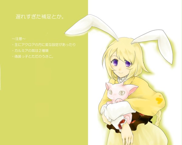 遅すぎる補足とか。