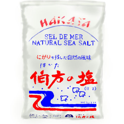【模写】伯方の塩【無理です】