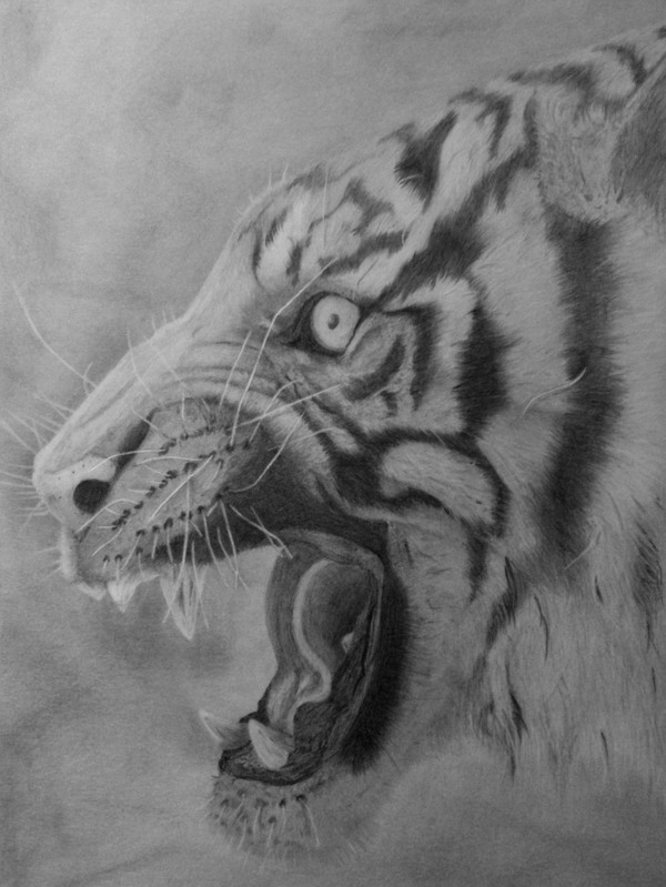 Tiger I