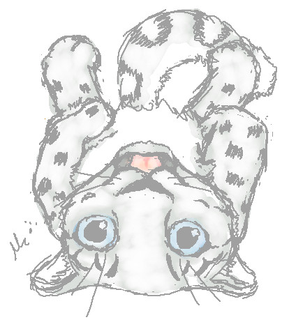 ちびユキヒョウ