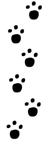 猫足タイル