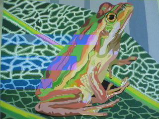 frog