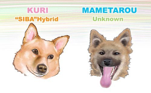 ビビリとシッコ虫