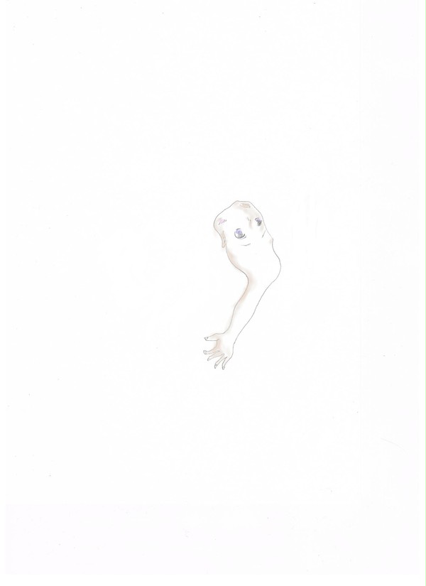 わからぬもの