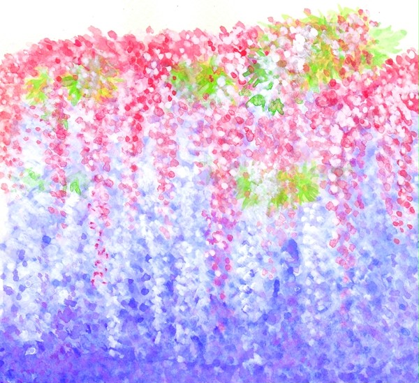 藤の花