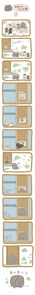 ある日のねこ露