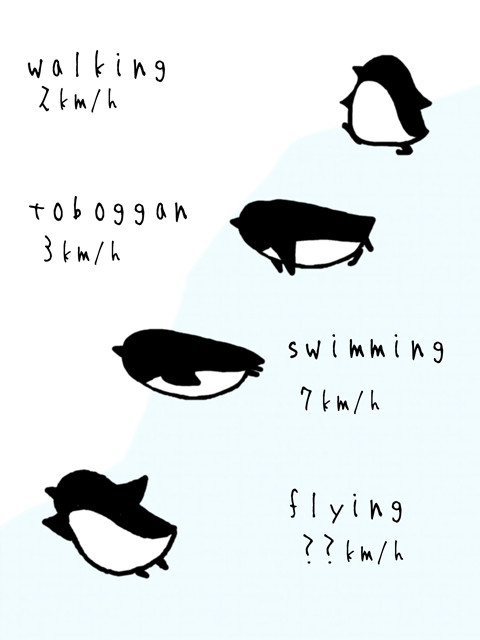 ぺんぎん
