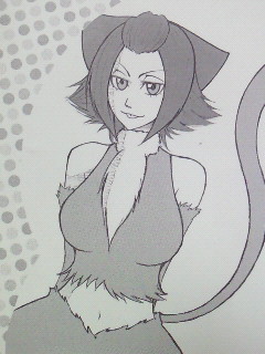 灰猫