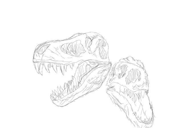 ティラノ(ちとｱﾝｹｰﾄも)サウルス