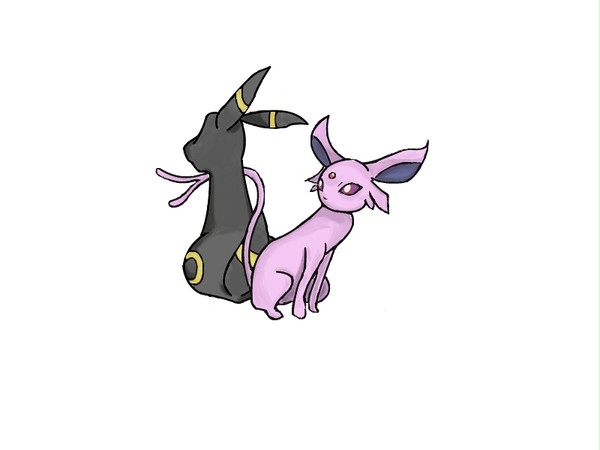 2匹