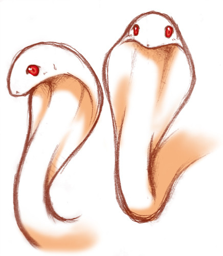 こぶらのアルビノ