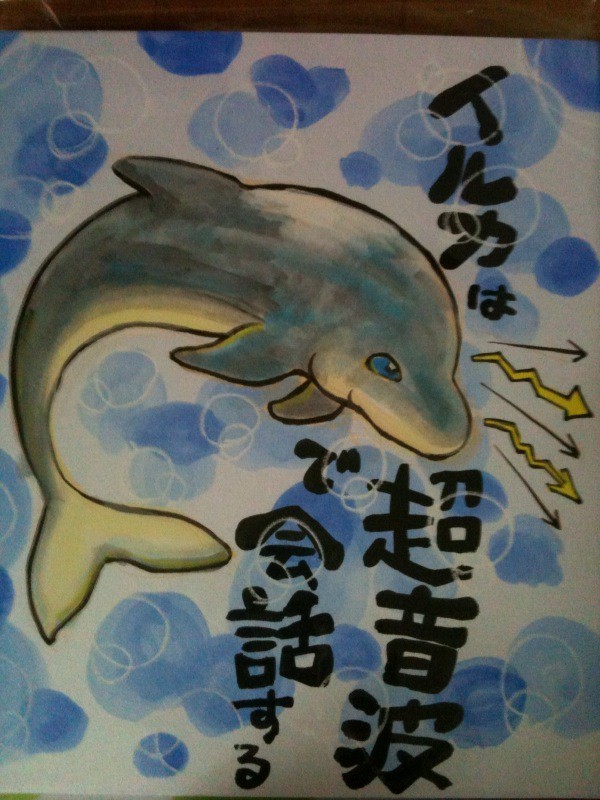 イルカと超音波