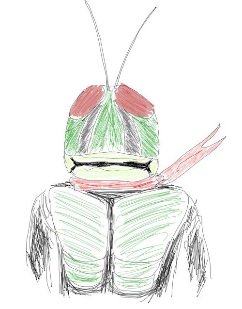 iPadからライダー