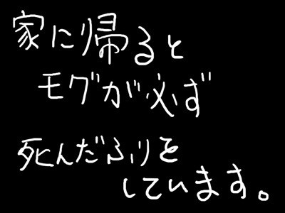 【モグが】家に帰ると【死んだふりをしている】
