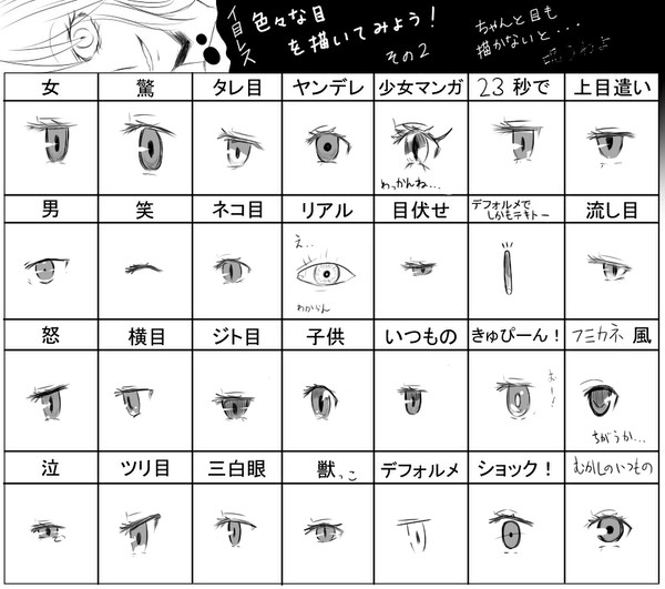 お目々の復習。