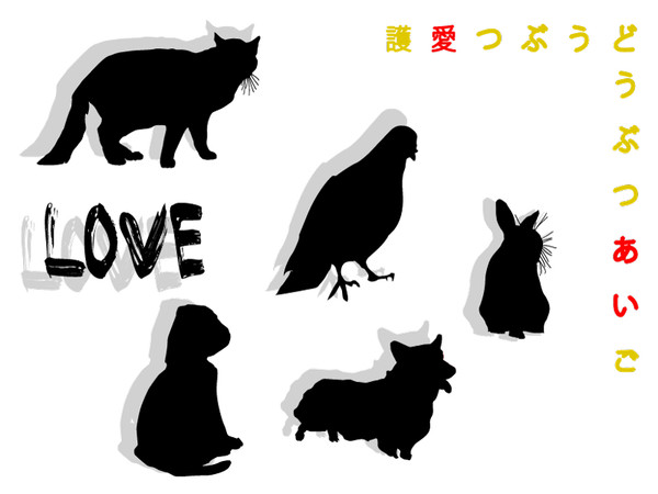 動物愛護