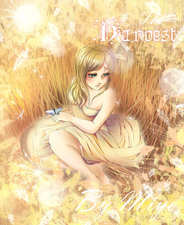 The harvest 収穫時