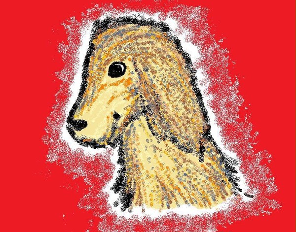 犬