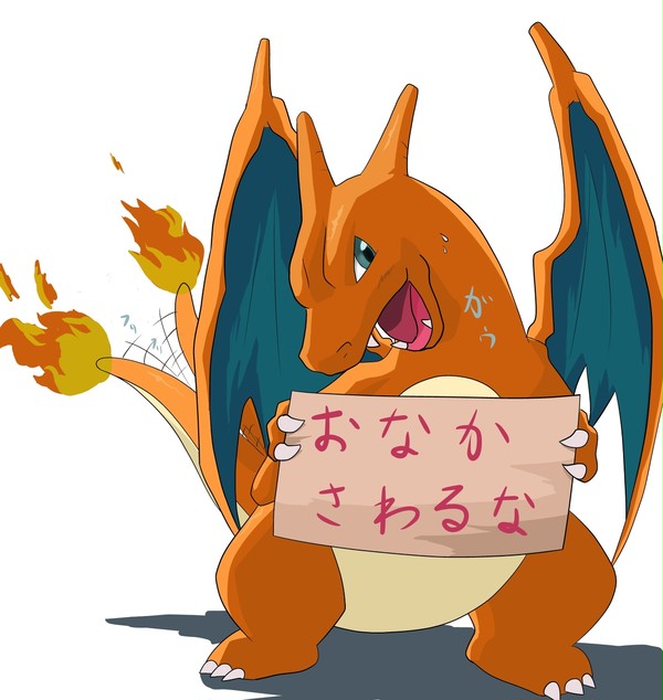 リザードンの主張