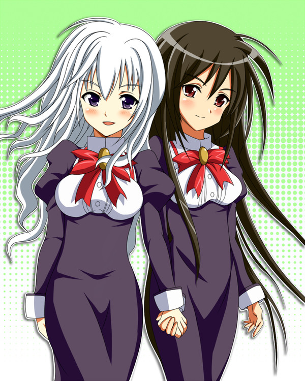 二人のエルダー