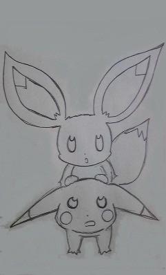＊イーブイとピカチュウ＊