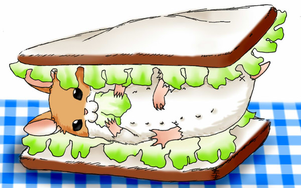 ハムサンド（塗り絵）