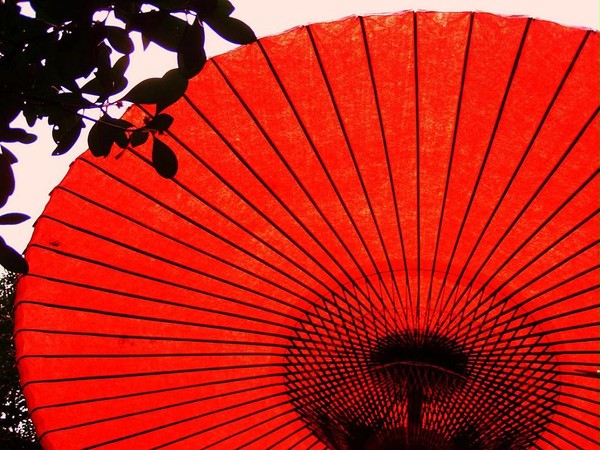 ちょいとそこらで休憩中。