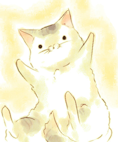 もっふーん。