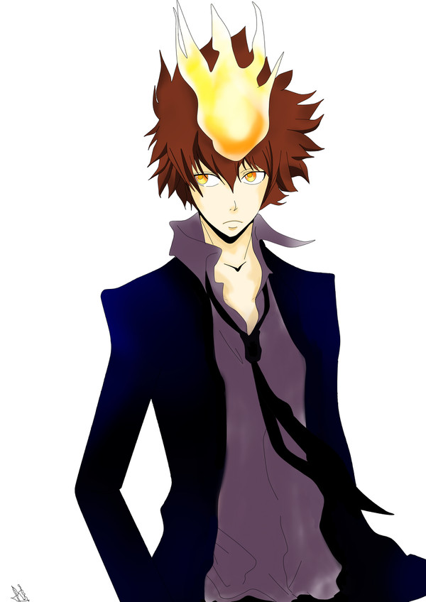Sawada Tsunayoshi