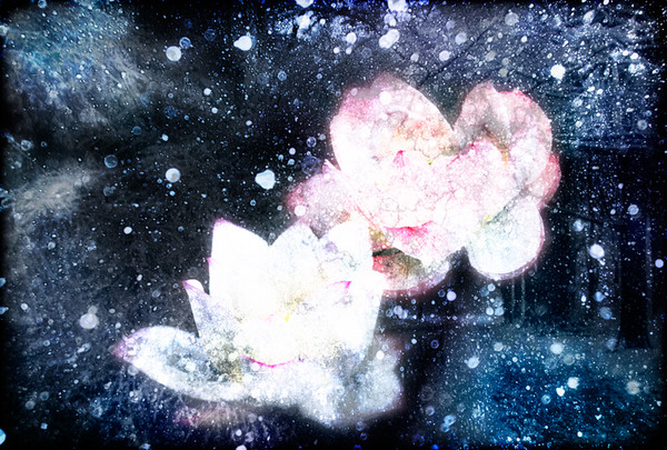 Slowsnow
