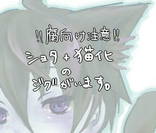 【腐向け】らすとにゃんかー