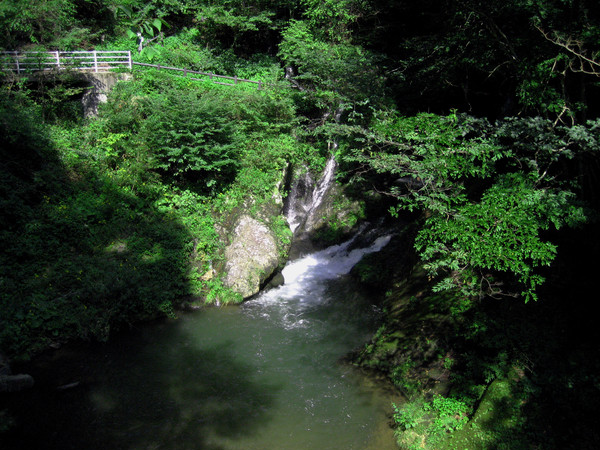山奥の滝
