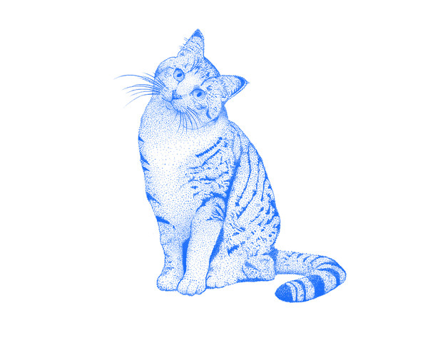 ねこ