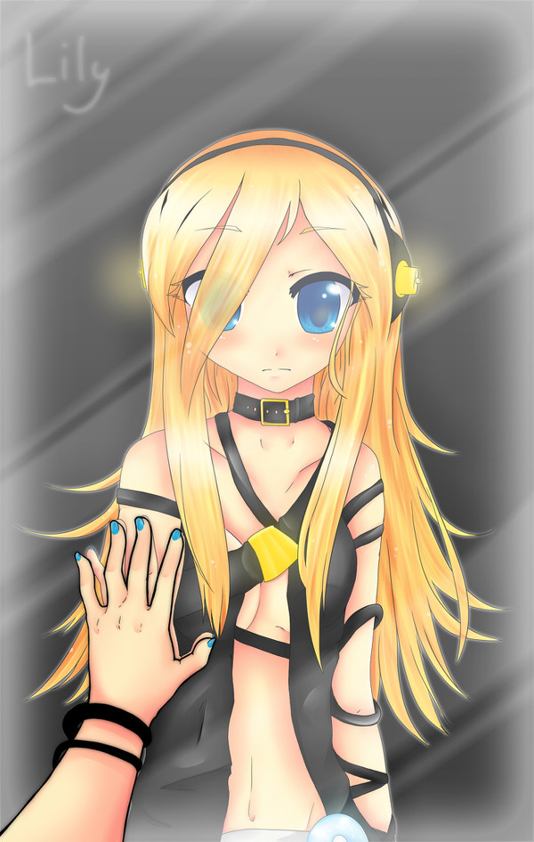 Lily; Reflection