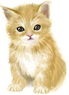 NEKO
