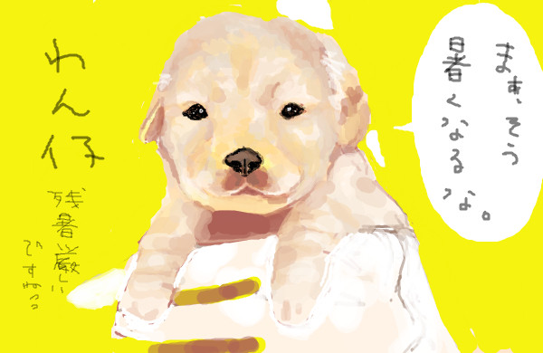 わんこ