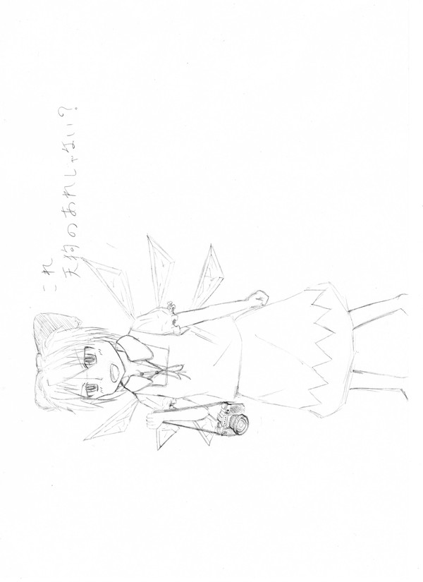 チルノが何か（ｒｙ