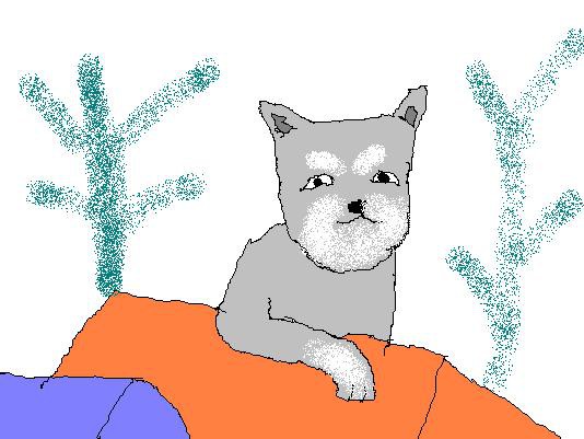 犬