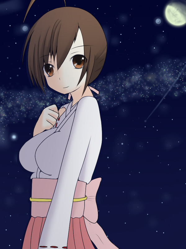 夜のセキレイ