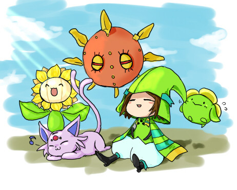 あさのひざし。