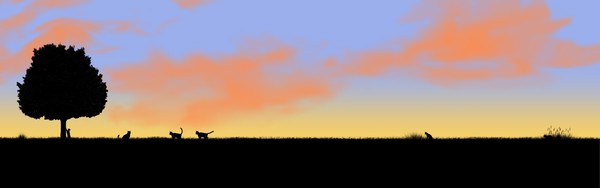 夕焼けと猫